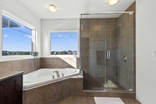 195 Hillcrest Circle Sw, Airdrie, AB - Indoor Photo Showing Bathroom