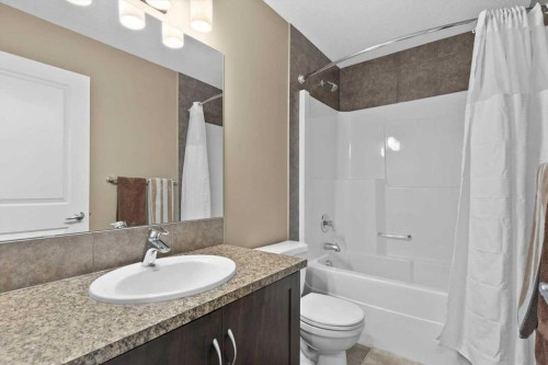 195 Hillcrest Circle Sw, Airdrie, AB - Indoor Photo Showing Bathroom