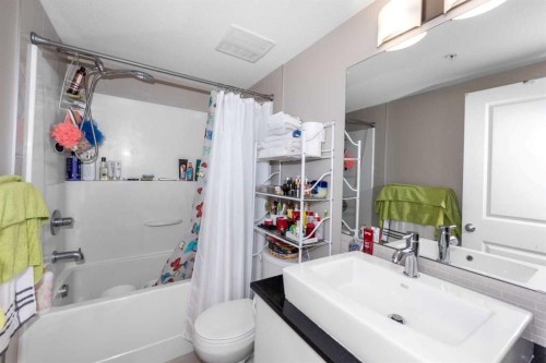 3102-240 Skyview Ranch Road Ne, Calgary, AB - Indoor Photo Showing Bathroom