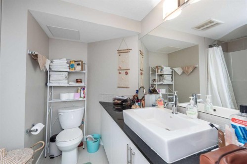3102-240 Skyview Ranch Road Ne, Calgary, AB - Indoor Photo Showing Bathroom