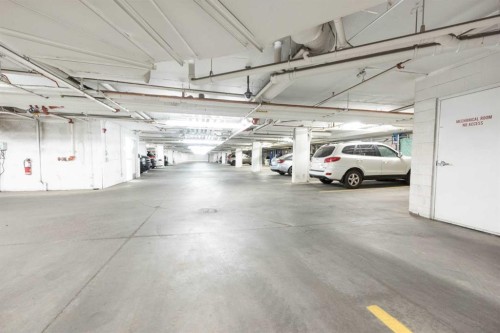 3102-240 Skyview Ranch Road Ne, Calgary, AB - Indoor Photo Showing Garage