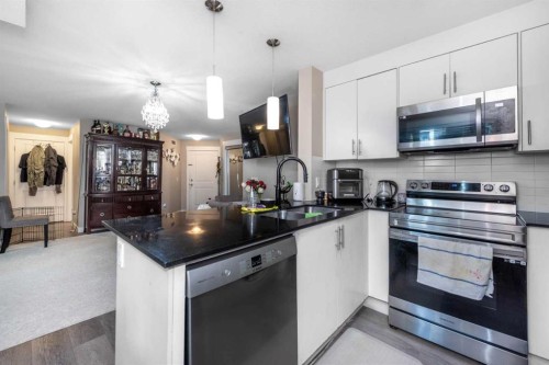 3102-240 Skyview Ranch Road Ne, Calgary, AB - Indoor Photo Showing Kitchen With Double Sink With Upgraded Kitchen