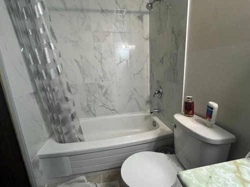 2410 14 Street Sw, Calgary, AB - Indoor Photo Showing Bathroom