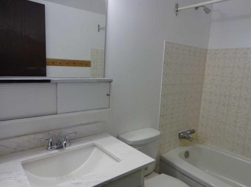 2410 14 Street Sw, Calgary, AB - Indoor Photo Showing Bathroom