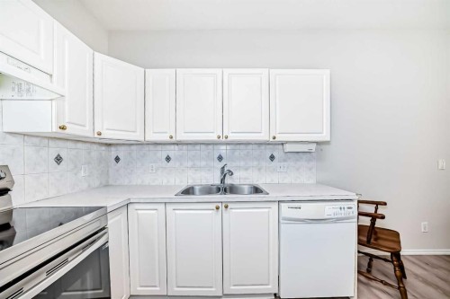 112-2850 51 Street Sw, Calgary, AB - Indoor Photo Showing Kitchen With Double Sink