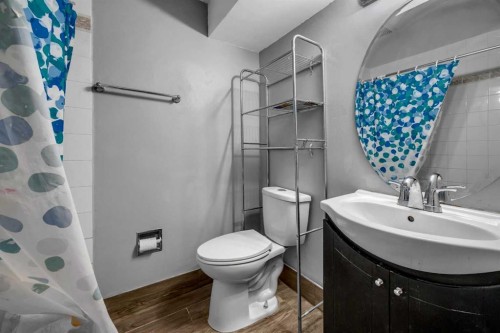 1019 Falworth Road Ne, Calgary, AB - Indoor Photo Showing Bathroom