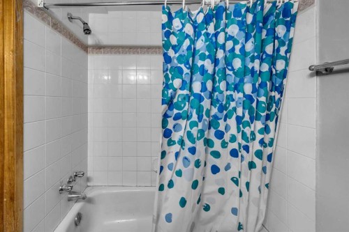 1019 Falworth Road Ne, Calgary, AB - Indoor Photo Showing Bathroom