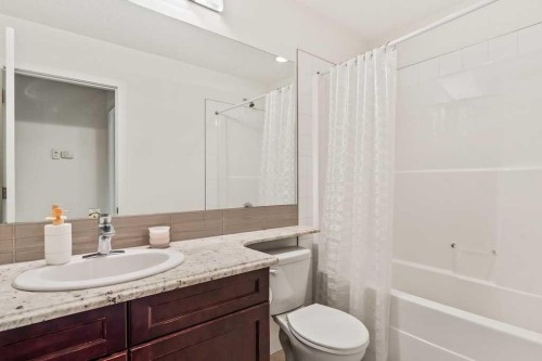 286 Redstone Drive Ne, Calgary, AB - Indoor Photo Showing Bathroom