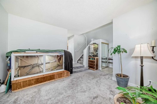 3315 Catalina Boulevard Ne, Calgary, AB - Indoor