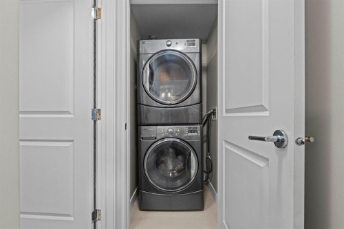 2206-11 Mahogany Row Se, Calgary, AB - Indoor Photo Showing Laundry Room
