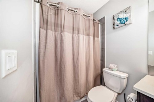 868 West Lakeview Drive, Chestermere, AB - Indoor Photo Showing Bathroom
