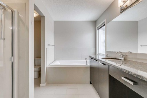 2107 Brightoncrest Green Se, Calgary, AB - Indoor Photo Showing Bathroom