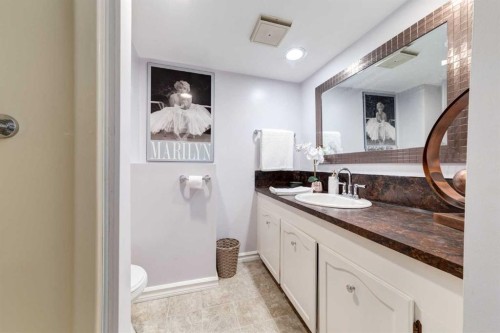 220 Oakridge Place Sw, Calgary, AB - Indoor Photo Showing Bathroom