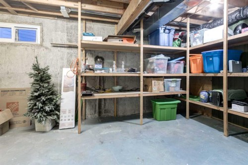 220 Oakridge Place Sw, Calgary, AB - Indoor Photo Showing Basement