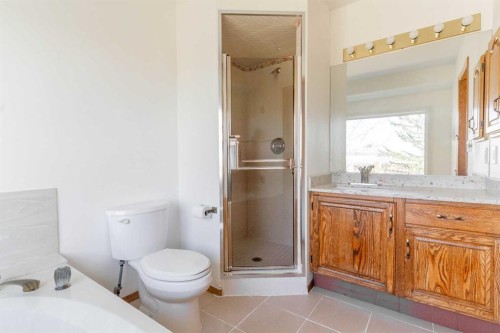 266 Edgepark Way Nw, Calgary, AB - Indoor Photo Showing Bathroom