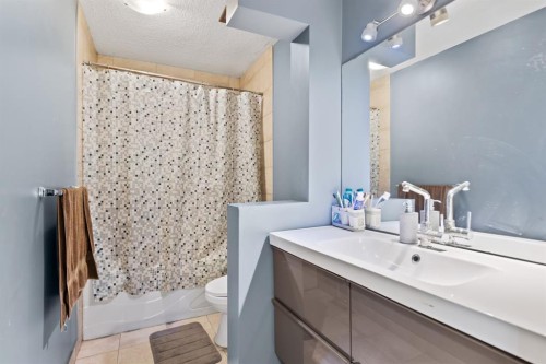 20 Castlegrove Way Ne, Calgary, AB - Indoor Photo Showing Bathroom