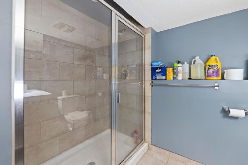 20 Castlegrove Way Ne, Calgary, AB - Indoor Photo Showing Bathroom