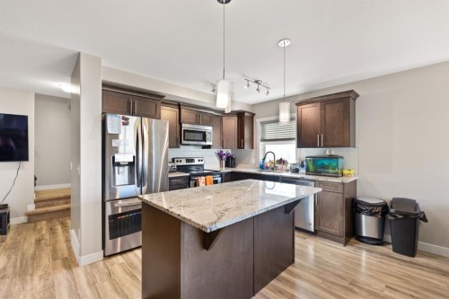 803 Redstone View Ne, Calgary, AB - Indoor Photo Showing Kitchen With Double Sink With Upgraded Kitchen