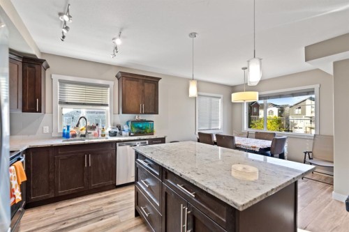 803 Redstone View Ne, Calgary, AB - Indoor Photo Showing Kitchen With Upgraded Kitchen