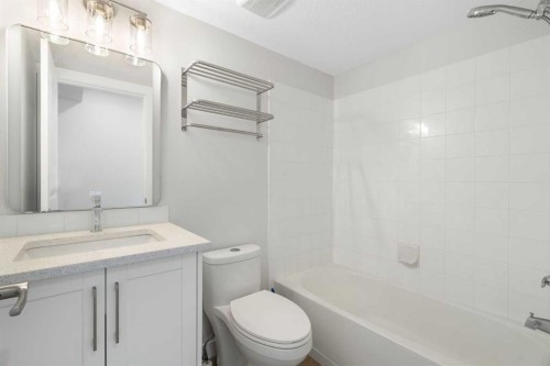 1204-4975 130 Avenue Se, Calgary, AB - Indoor Photo Showing Bathroom