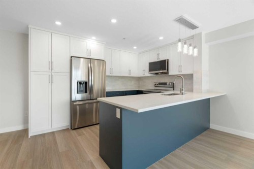 1204-4975 130 Avenue Se, Calgary, AB - Indoor Photo Showing Kitchen With Stainless Steel Kitchen With Upgraded Kitchen