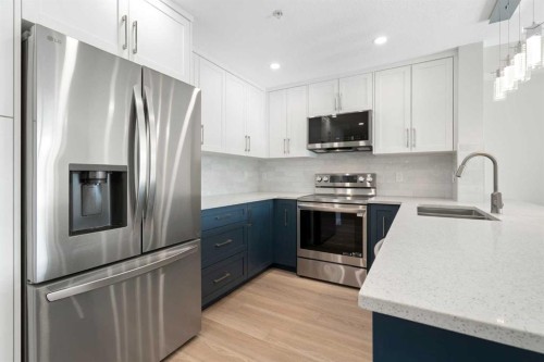 1204-4975 130 Avenue Se, Calgary, AB - Indoor Photo Showing Kitchen With Stainless Steel Kitchen With Double Sink With Upgraded Kitchen