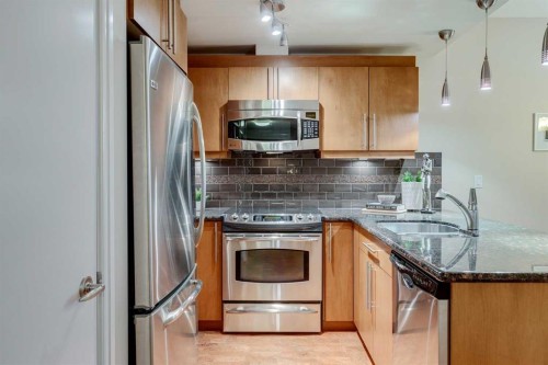 206-817 15 Avenue Sw, Calgary, AB - Indoor Photo Showing Kitchen With Upgraded Kitchen