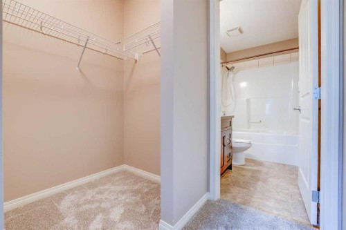 1206-522 Cranford Drive Se, Calgary, AB - Indoor Photo Showing Bathroom