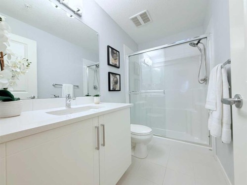 310-20 Mahogany Mews Se, Calgary, AB - Indoor Photo Showing Bathroom