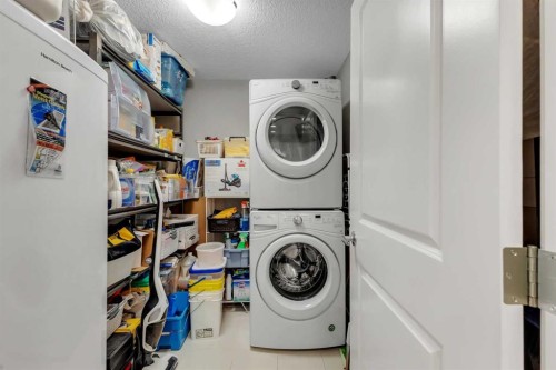 310-20 Mahogany Mews Se, Calgary, AB - Indoor Photo Showing Laundry Room