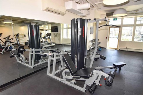310-20 Mahogany Mews Se, Calgary, AB - Indoor Photo Showing Gym Room