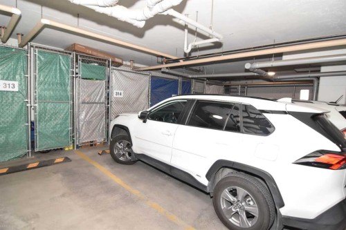 310-20 Mahogany Mews Se, Calgary, AB - Indoor Photo Showing Garage