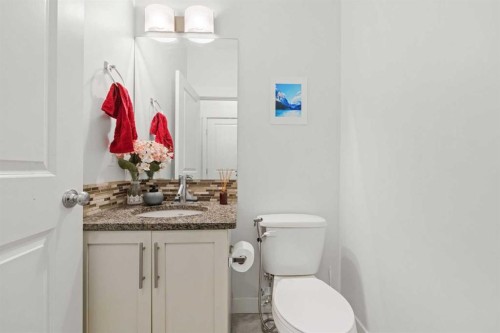 37 Skyview Ranch Manor Ne, Calgary, AB - Indoor Photo Showing Bathroom