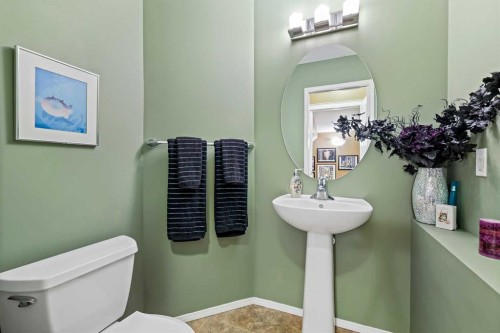 180 Copperfield Rise Se, Calgary, AB - Indoor Photo Showing Bathroom