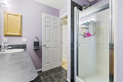 180 Copperfield Rise Se, Calgary, AB - Indoor Photo Showing Bathroom