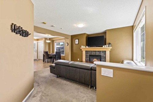 180 Copperfield Rise Se, Calgary, AB - Indoor With Fireplace