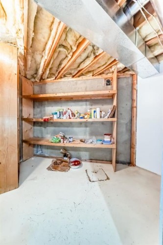 17 Santana Manor Nw, Calgary, AB - Indoor Photo Showing Basement