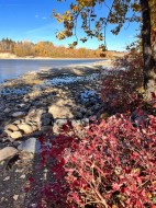 2-3423 5 Avenue NW Calgary, AB T2N 0V5