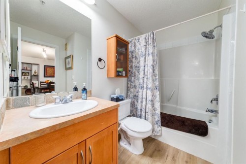 216-2233 34 Avenue Sw, Calgary, AB - Indoor Photo Showing Bathroom