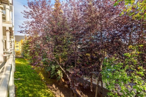 216-2233 34 Avenue Sw, Calgary, AB - Outdoor