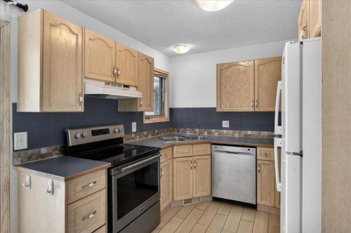 314 Nelson Road, Carseland, AB - Indoor Photo Showing Kitchen With Double Sink