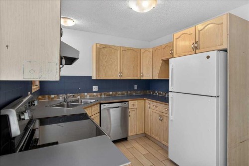 314 Nelson Road, Carseland, AB - Indoor Photo Showing Kitchen With Double Sink
