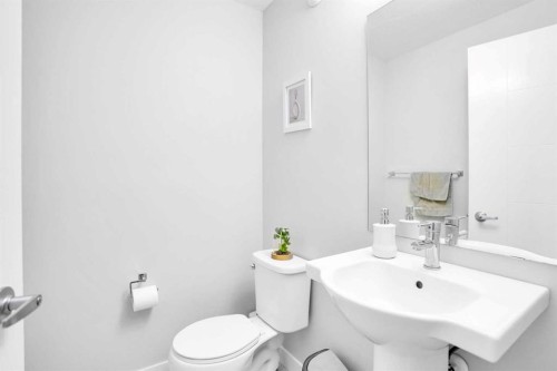 318 Redstone Crescent Ne, Calgary, AB - Indoor Photo Showing Bathroom