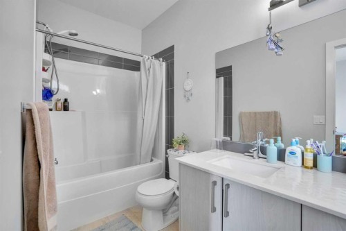 318 Redstone Crescent Ne, Calgary, AB - Indoor Photo Showing Bathroom