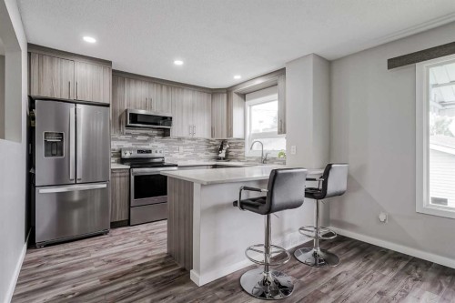 4108 Marlborough Drive Ne, Calgary, AB - Indoor Photo Showing Kitchen With Upgraded Kitchen