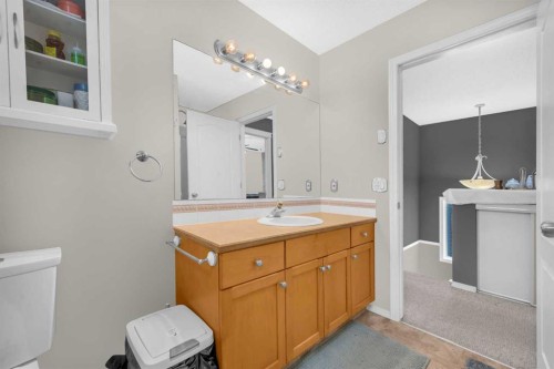 4 Saddlecreek Terrace Ne, Calgary, AB - Indoor Photo Showing Bathroom