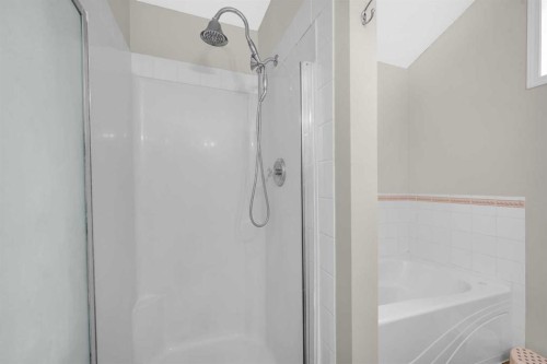 4 Saddlecreek Terrace Ne, Calgary, AB - Indoor Photo Showing Bathroom