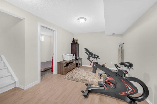 4 Saddlecreek Terrace Ne, Calgary, AB - Indoor Photo Showing Gym Room
