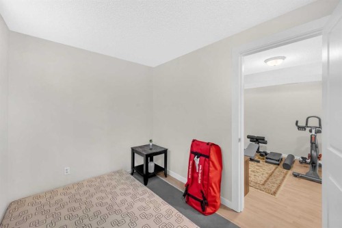 4 Saddlecreek Terrace Ne, Calgary, AB - Indoor