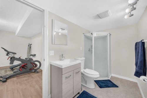 4 Saddlecreek Terrace Ne, Calgary, AB - Indoor Photo Showing Bathroom
